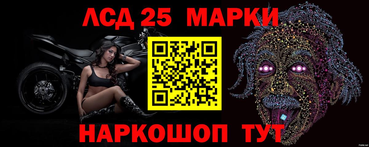 МЕФ Холмск