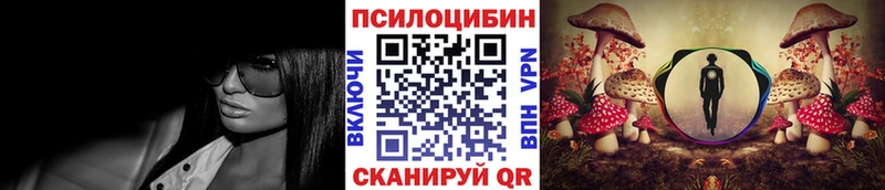 Псилоцибиновые грибы Cubensis Холмск
