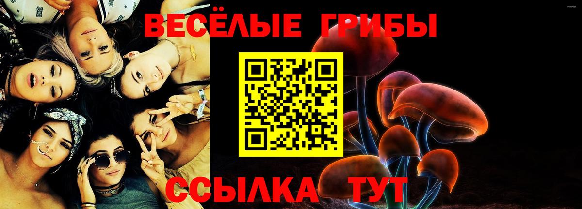 Холмск  Галлюциногенные грибы Magic Shrooms  Вход с VPN  Галлюциногенные грибы прущие грибы 